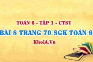 Bài 8 trang 70 SGK Toán 6 Chân trời sáng tạo Tập 1